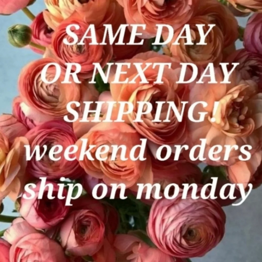 Gabby Skye Black Multicolor Elegant Dress. Size 10. - Picture 10 of 10